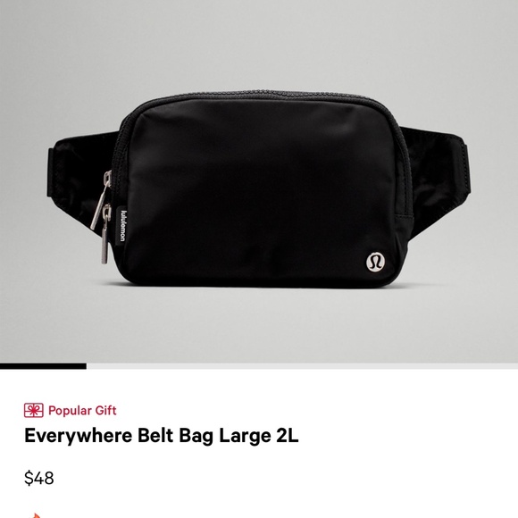 Everywhere Belt Bag 2L - Picture 1 of 6